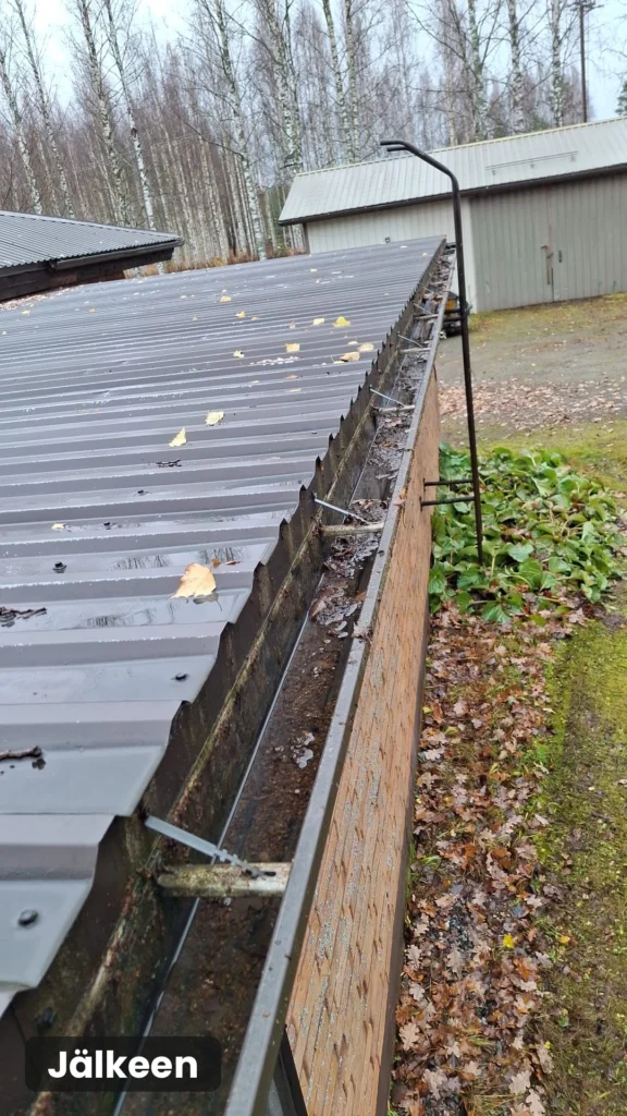 Puhdistettu kattokouru jälkeen-kuvassa, lehdet poistettu.